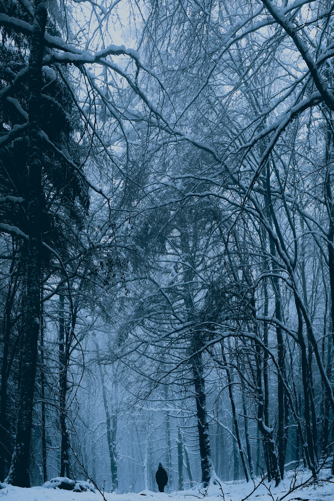 winter mystery book cover
